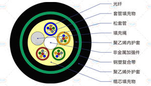 GYFTY53光缆截面