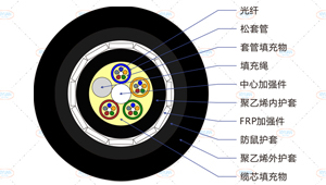 GYFTY83光缆截面