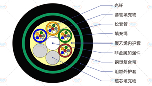 GYFTZY53光缆截面