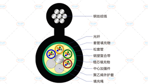GYTC8S光缆截面