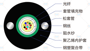 GYXTW光缆截面