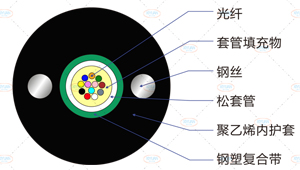 GYXTW光缆截面