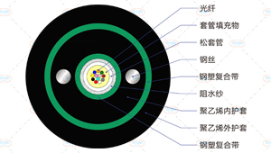 GYXTW53光缆截面