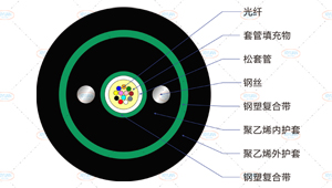 GYXTW53光缆截面