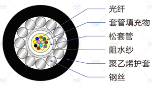GYXTY光缆截面