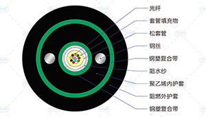 GYXTZW53光缆截面