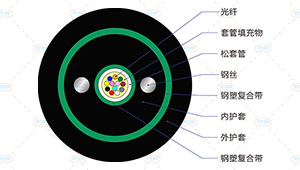 GYXTZW53光缆截面