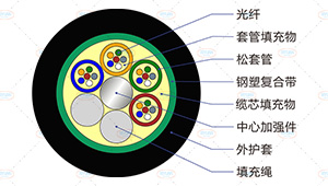 MGTS光缆截面