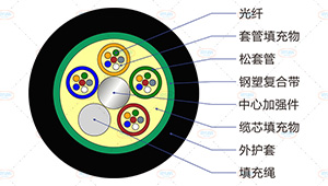 MGTS光缆截面
